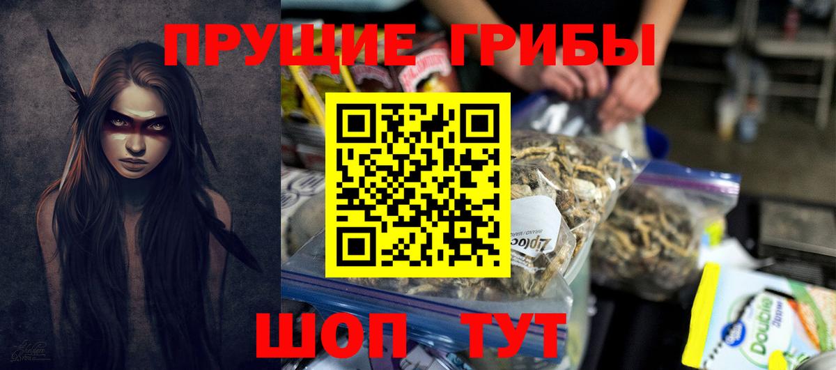 Новокузнецк  где купить наркоту  Вход с VPN  Галлюциногенные грибы мицелий  Псилоцибиновые грибы MAGIC MUSHROOMS 