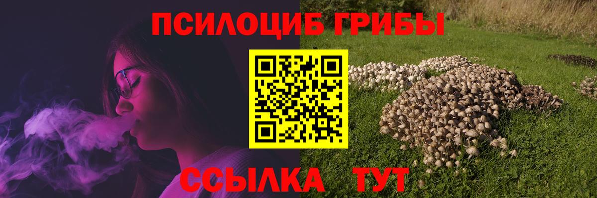 Псилоцибиновые грибы Cubensis Новокузнецк