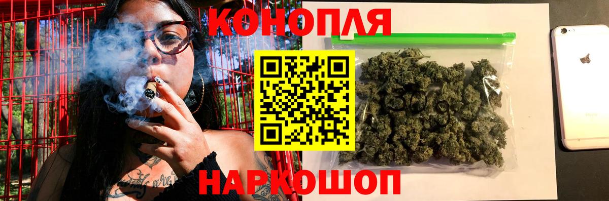 Конопля сатива Новокузнецк